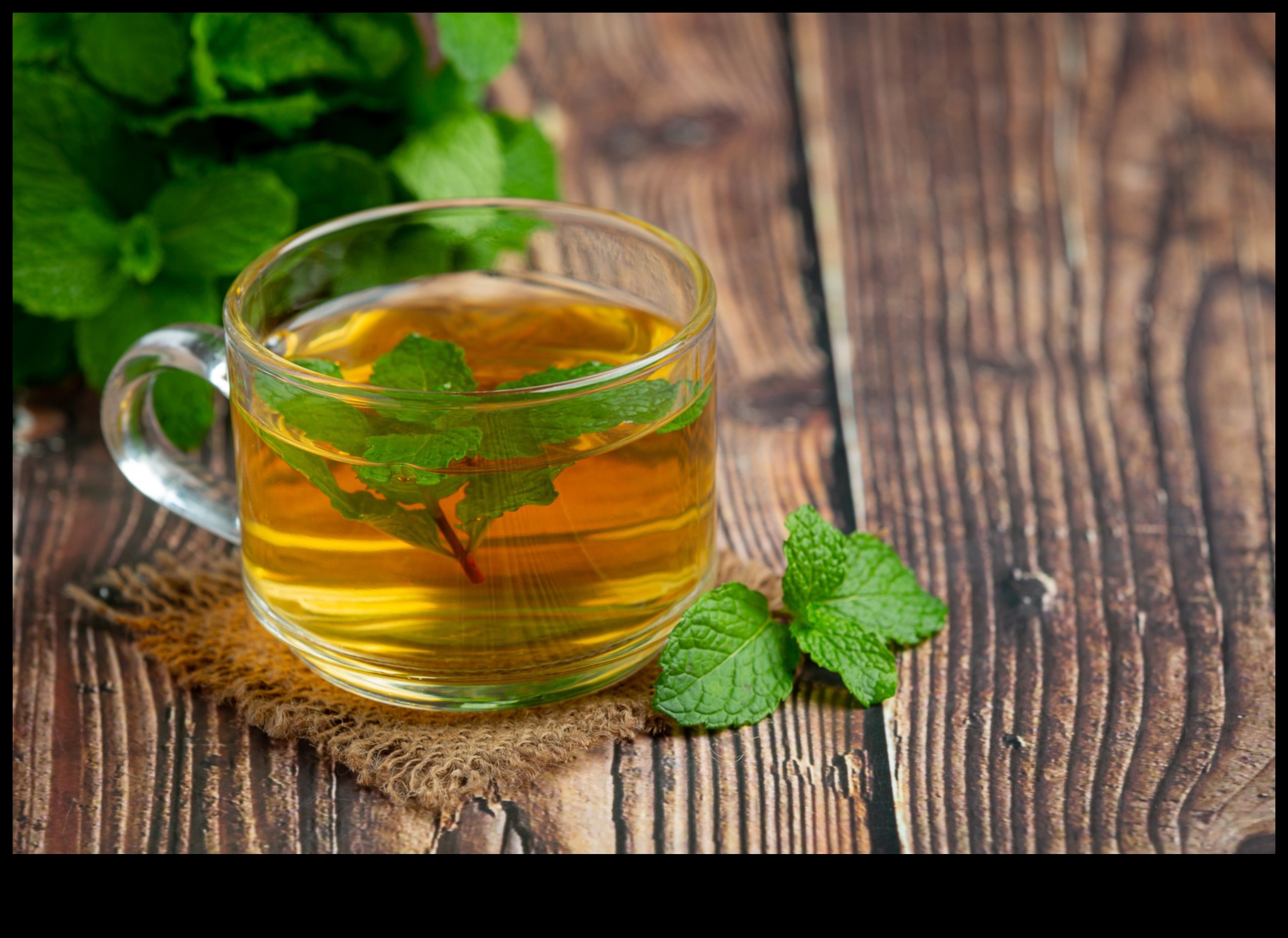 ضخ النعناع: رحلة عبر عالم الشاي بالنعناع