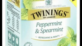 منقوع النعناع: زيارة حول عالم الشاي بالنعناع 4 ضخ النعناع: رحلة عبر عالم الشاي بالنعناع