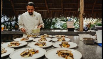 ملاذ تذوق الطعام: اكتشف متعة الطبخ المنزلي