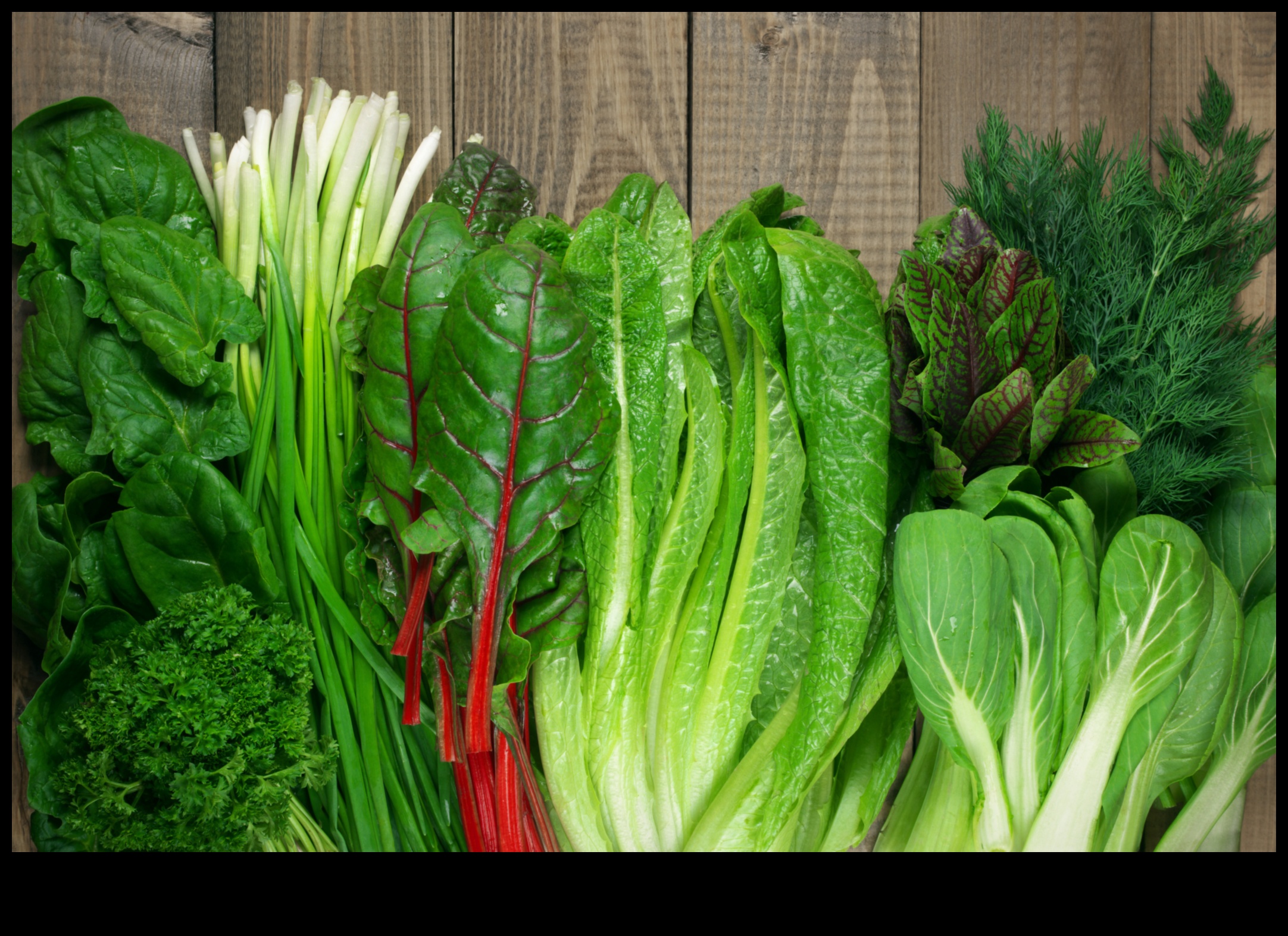 الخير المورق: استكشاف عالم الخلطات الخضراء الطازجة والنابضة بالحياة