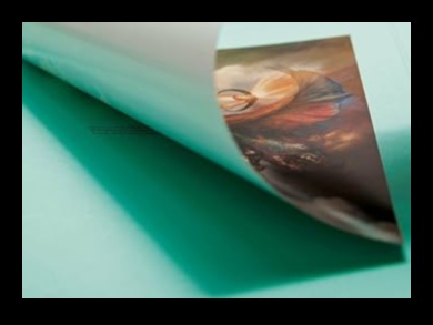 فن المزج الأخضر: إنشاء روائع بصرية وغذائية