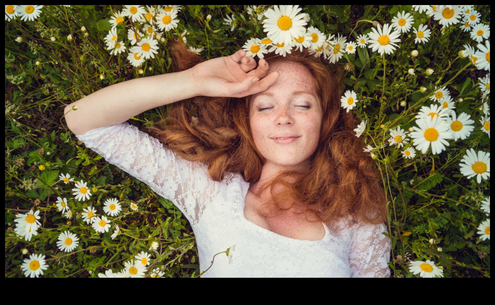 هدوء الصباح: ابدأ يومك بلمسة البابونج المهدئة