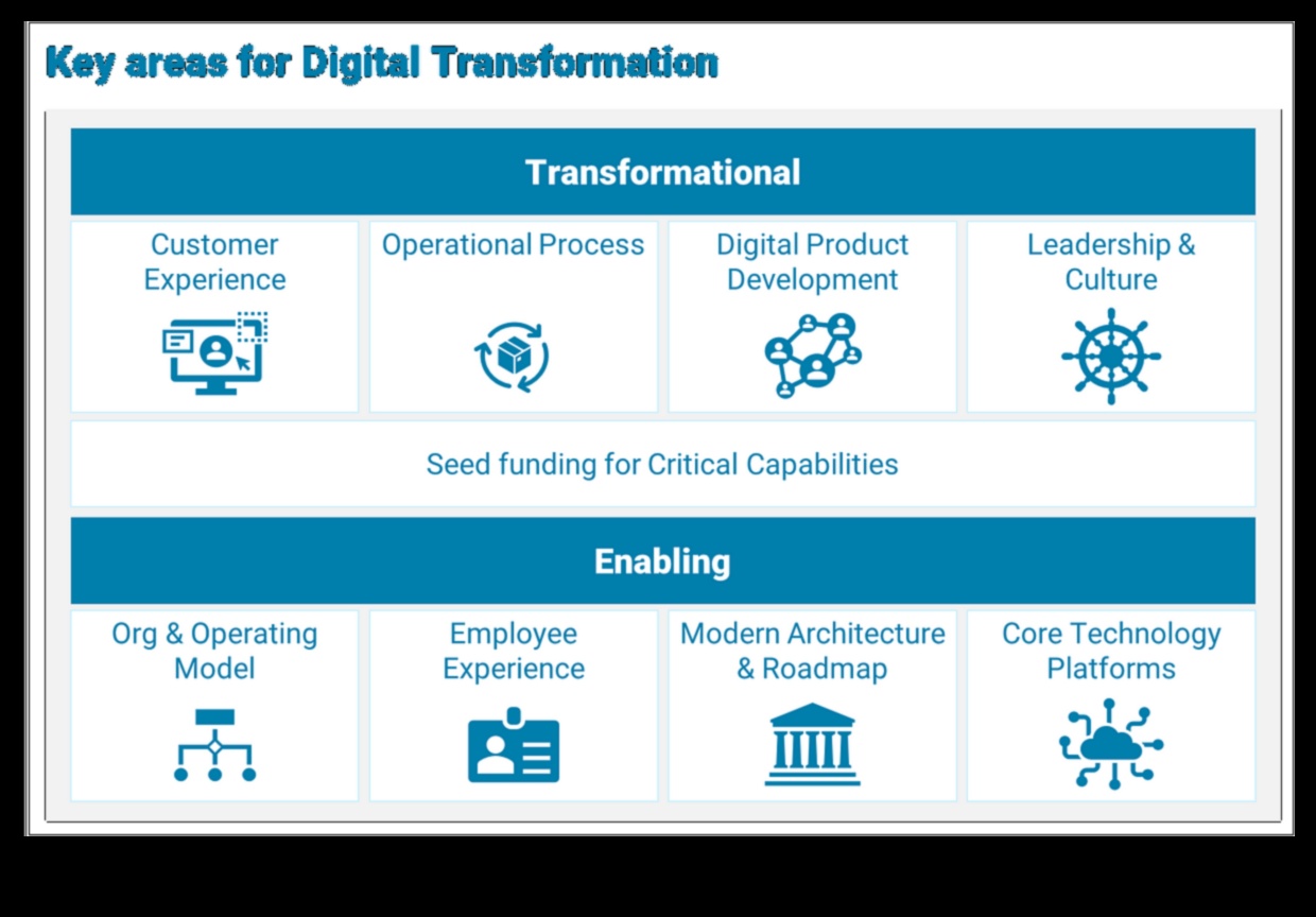 التحول الرقمي الذي يركز على المستخدم: خلق تجارب لا تنسى في التحول